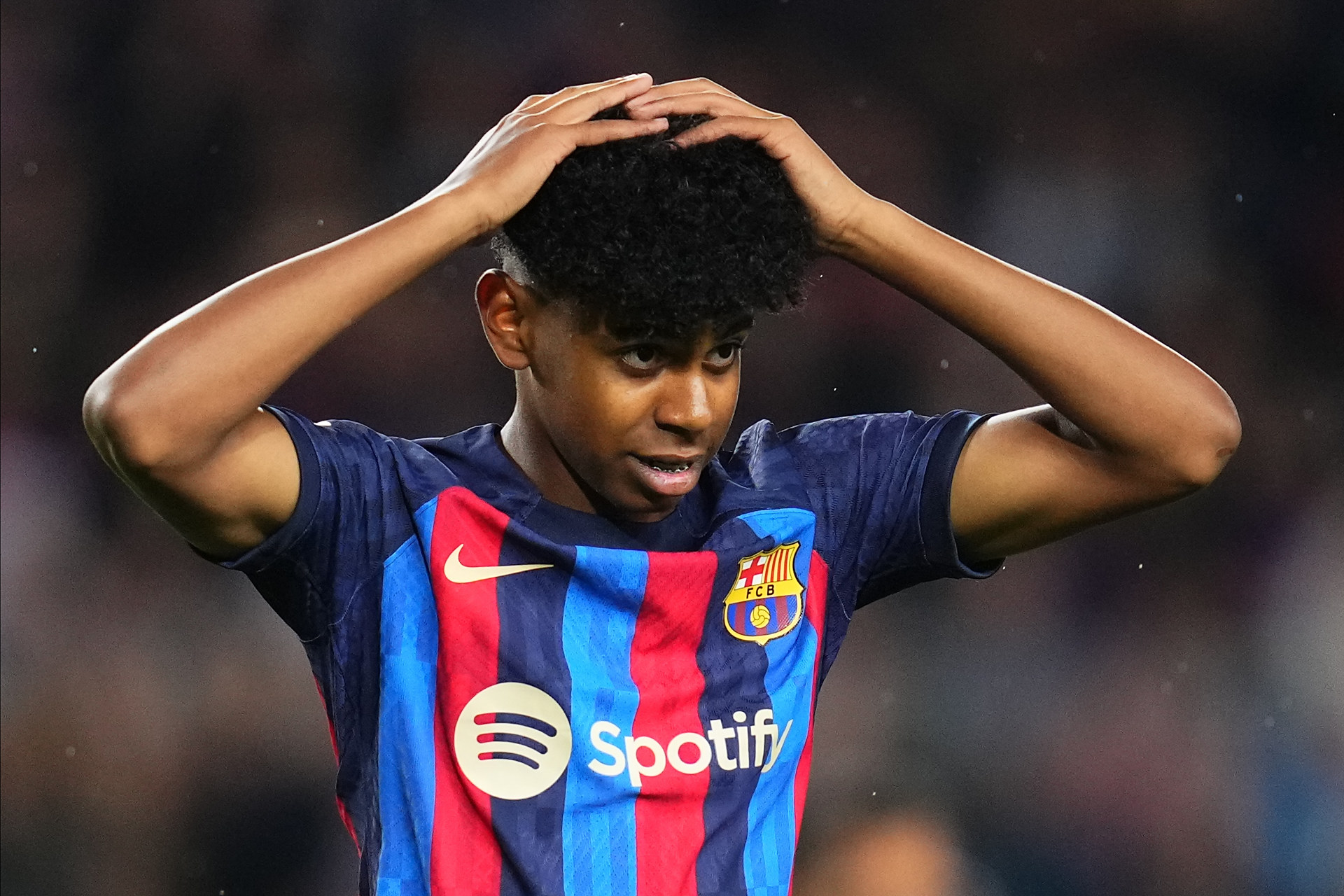 左膝半月板 左膝半月板